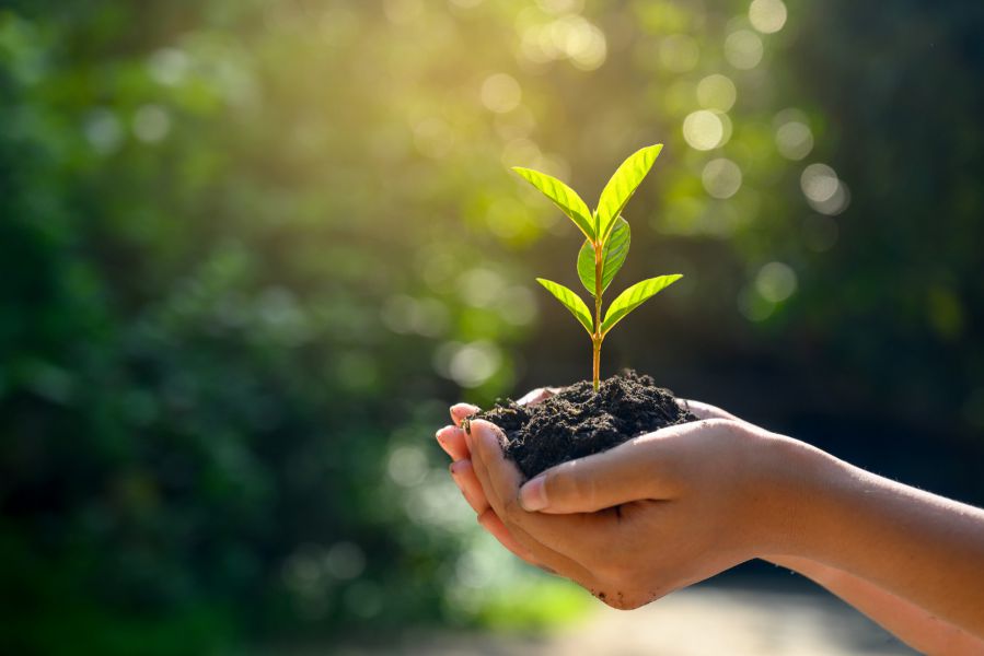 ECO-92 e o pacto em defesa do meio ambiente