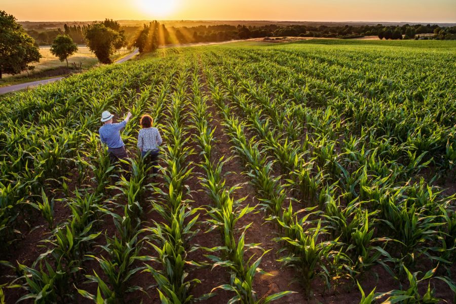 Jornada do Agro: A tecnologia no ciclo da produção rural